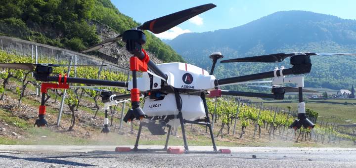 Prestations anti-mousse en drone avec drone et perche - Drone Halyzia